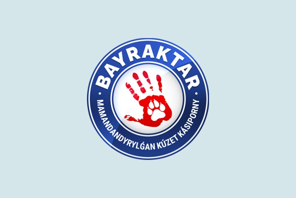Специализированное охранное предприятие «Bayraktar»